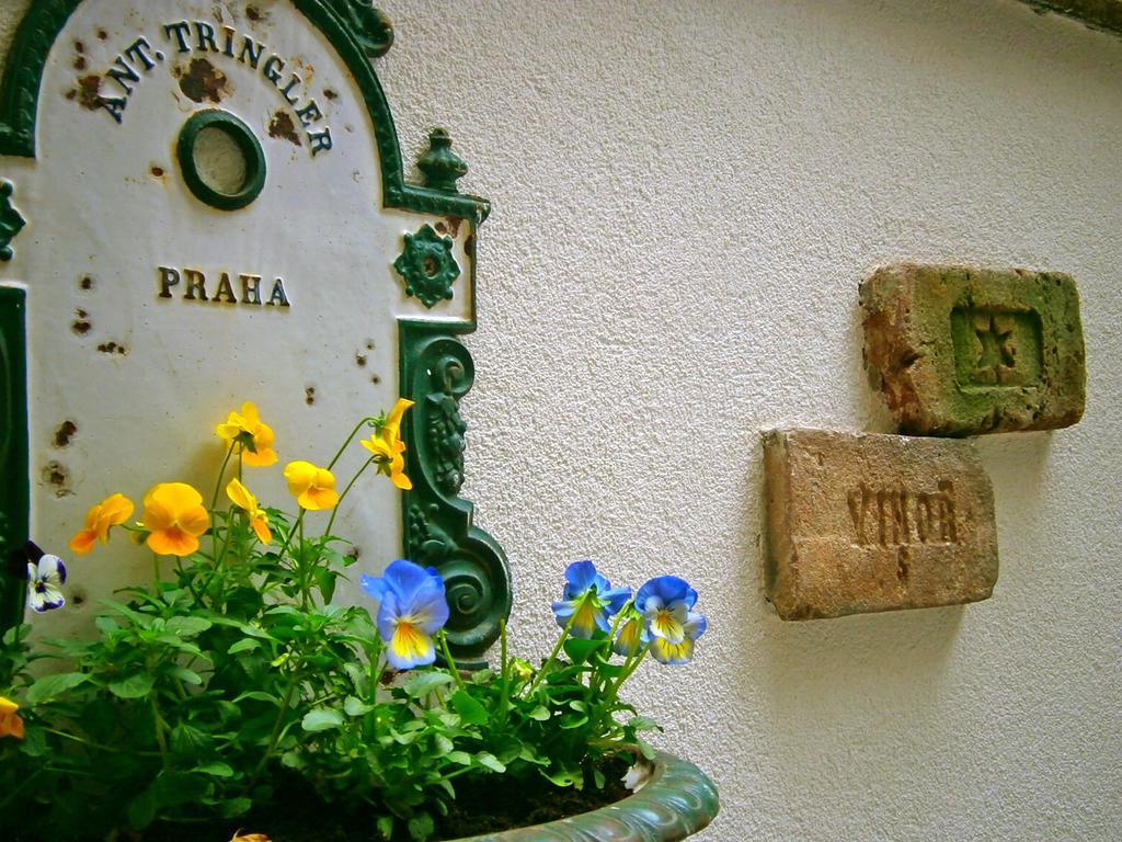Apartment Teytz Prag
